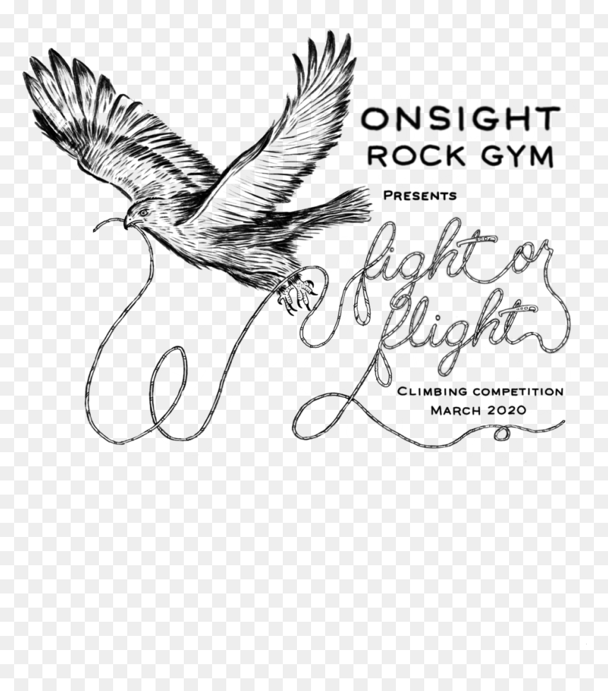 Onsight Rock Gym Fight Or Flight - Red-tailed Hawk, HD Png Download - flight png images