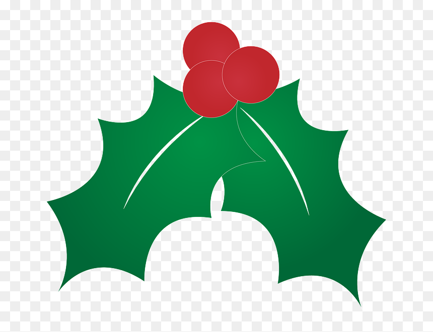 Thumb Image - Folha Natal Png, Transparent Png - holly leaves png