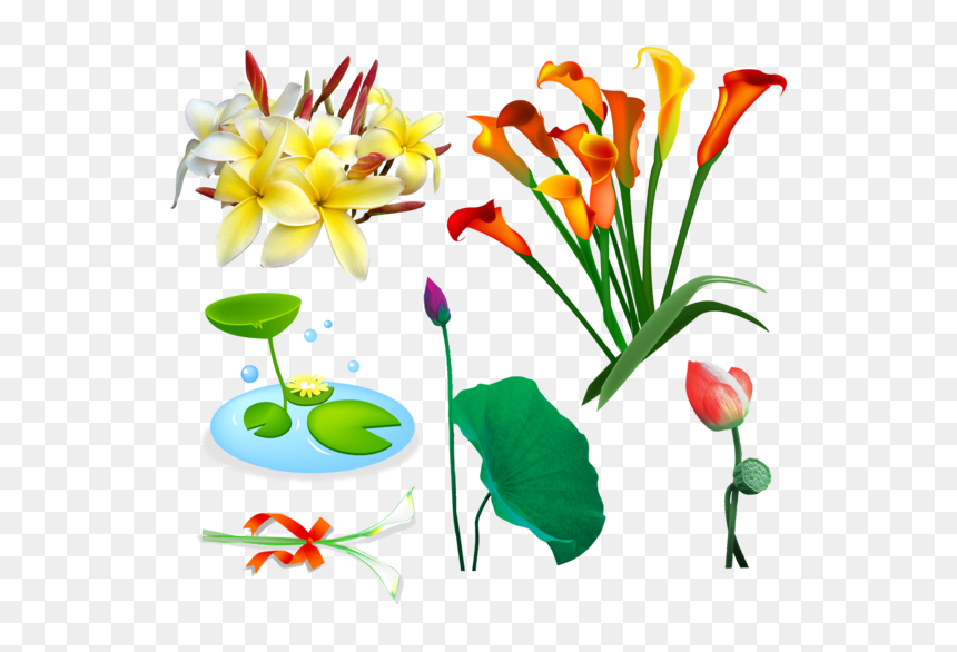Transparent Kali Shiva Dakshineswar Kali Temple Plant - Lily, HD Png Download - goddess saraswati png