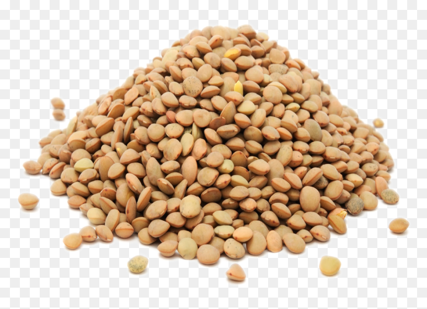 Thumb Image - Lentils White Background, HD Png Download - kaju png