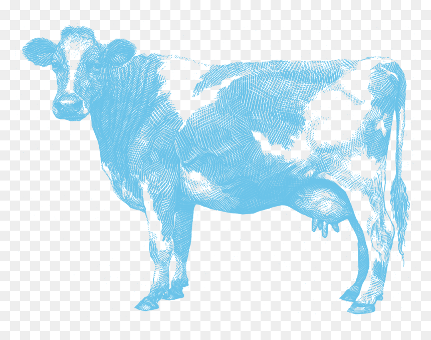 Cow - Aunt Jeans Co Nz, HD Png Download - cow png images