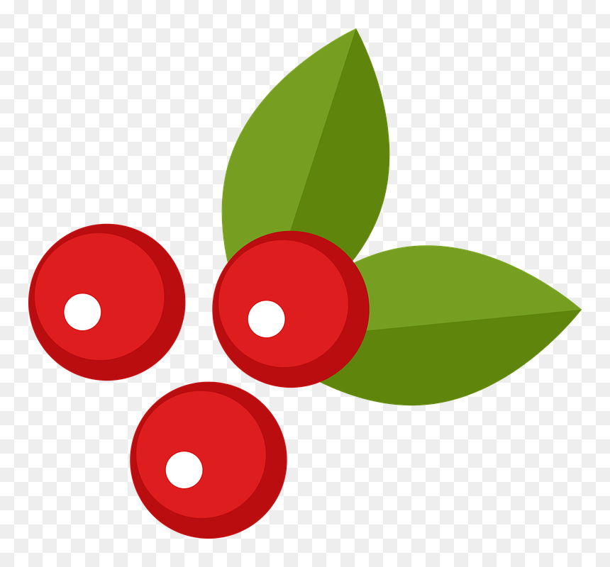 Circle, HD Png Download - holly leaves png