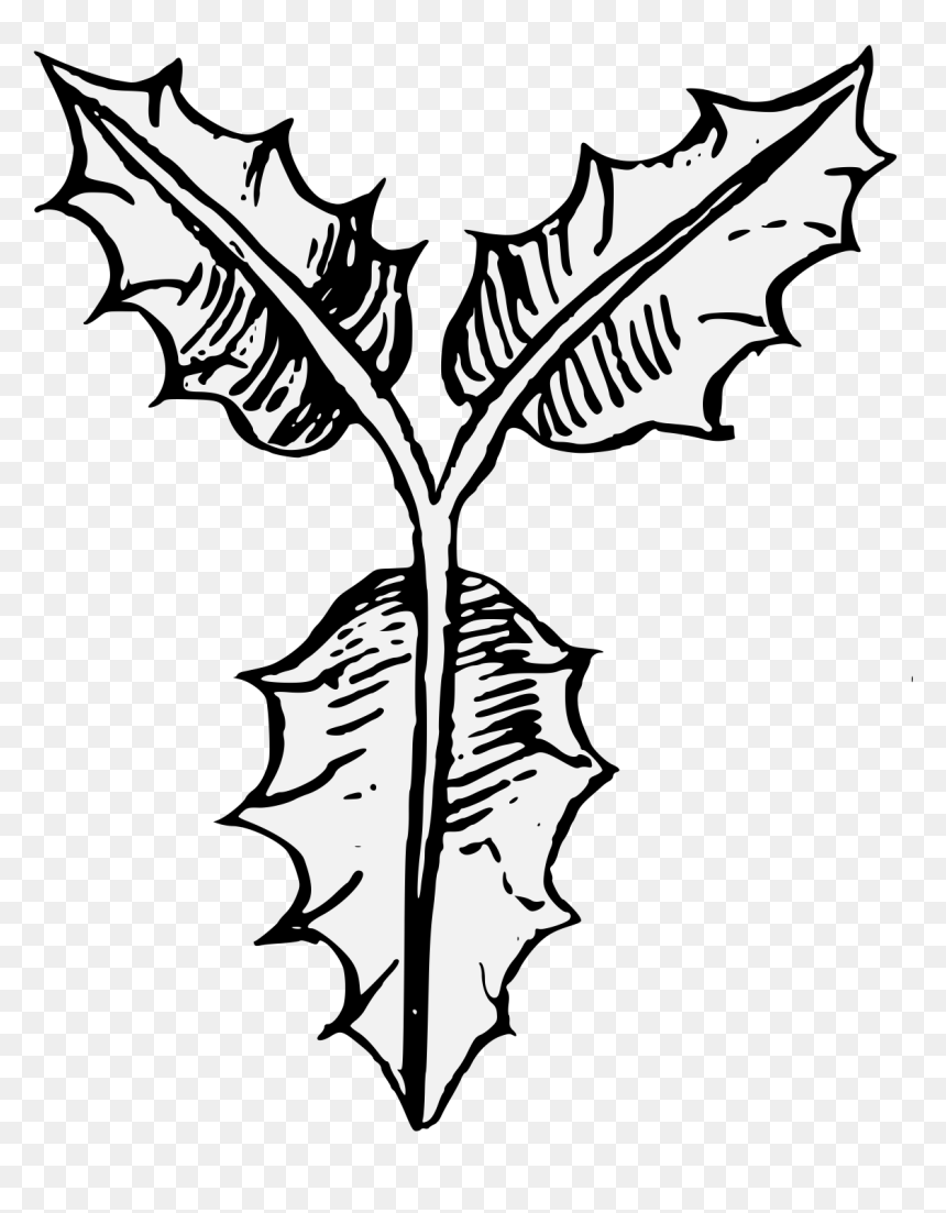 Illustration, HD Png Download - holly leaves png