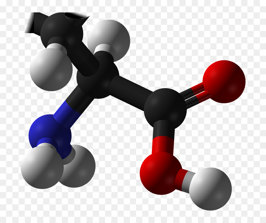 Amino Acid Png Images - Amino Acid Molecule Png, Transparent Png - acid png