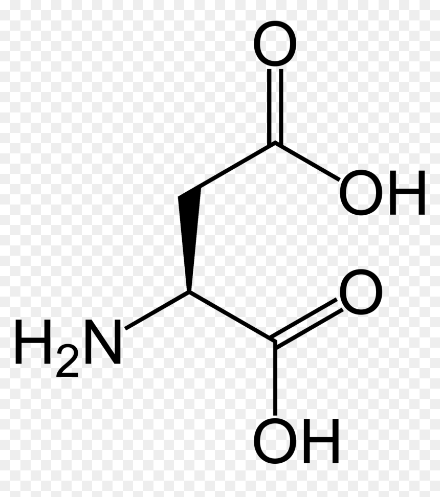 L Aspartic Acid - Acid, HD Png Download - acid png
