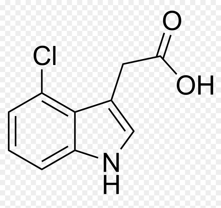 4 Chloroindole 3 Acetic Acid, HD Png Download - acid png