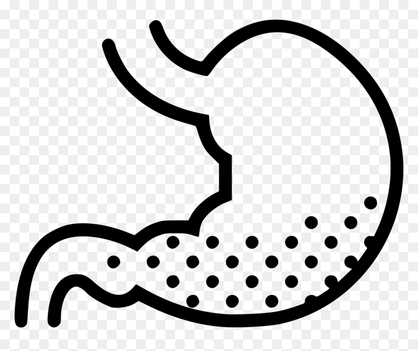 Stomach Acid - Stomach Clipart Black And White, HD Png Download - acid png