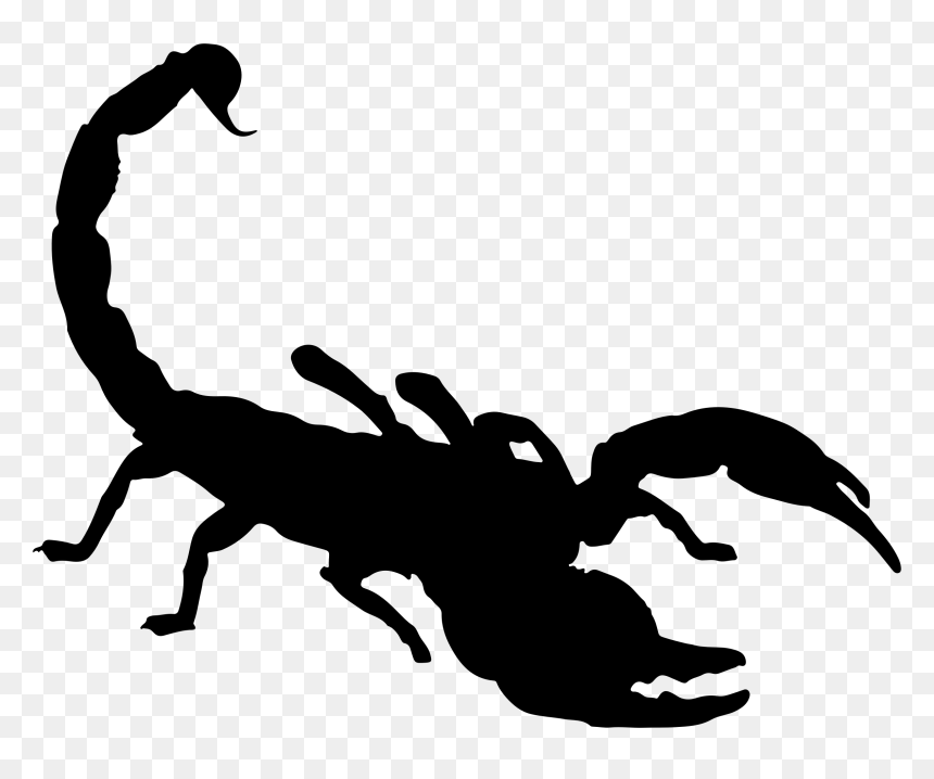Scorpion Silhouette Clip Art - Scorpion Clip Art, HD Png Download - scorpio car png