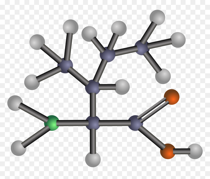 Isoleucine Clip Arts - Amino Acids Clipart, HD Png Download - acid png