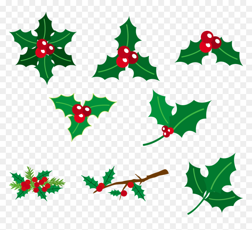 크리스마스 호랑 가시 나무, HD Png Download - holly leaves png