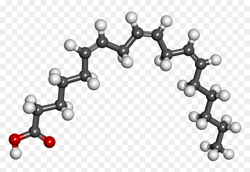 Gamma Linolenic Acid - Molecule, HD Png Download - acid png