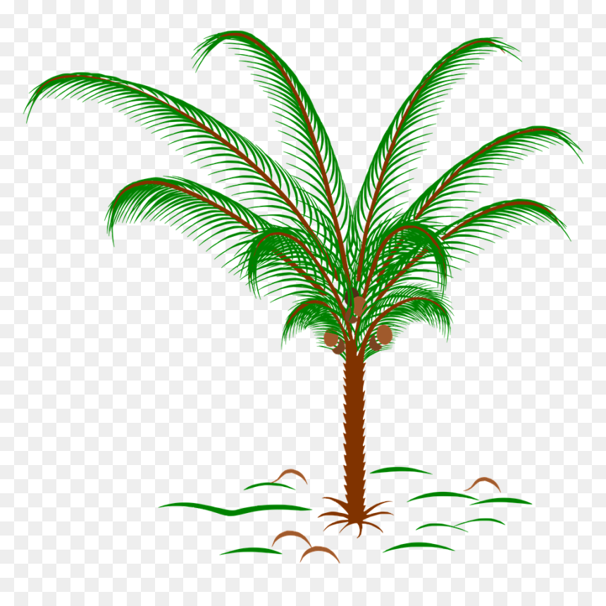 Palm Tree Snowglobe, HD Png Download - palm plant png