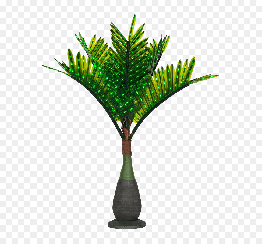Palm Tree With Lights Png, Transparent Png - palm plant png