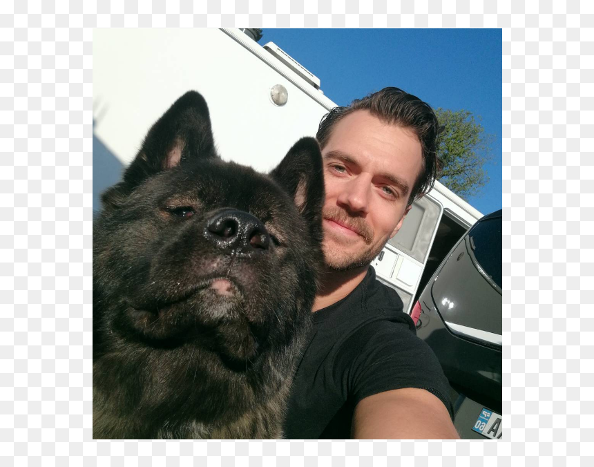 Henry Cavill Kal Akita, HD Png Download - henry cavill png
