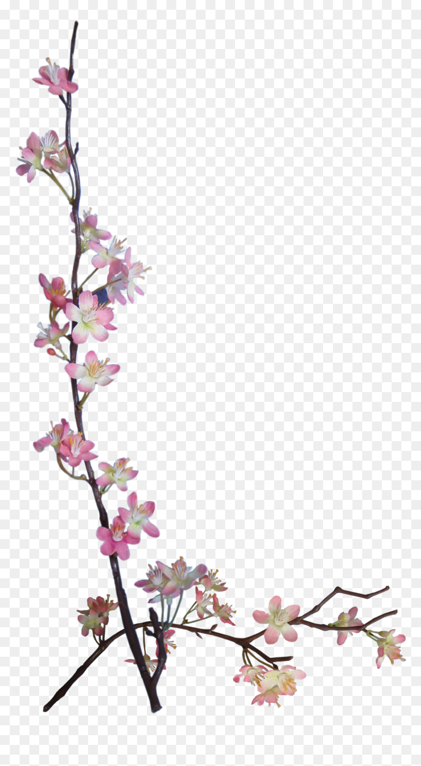 Artificial Flower, HD Png Download - scrapbook elements png