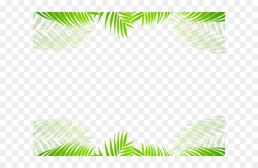Palm Tree, HD Png Download - tree border png