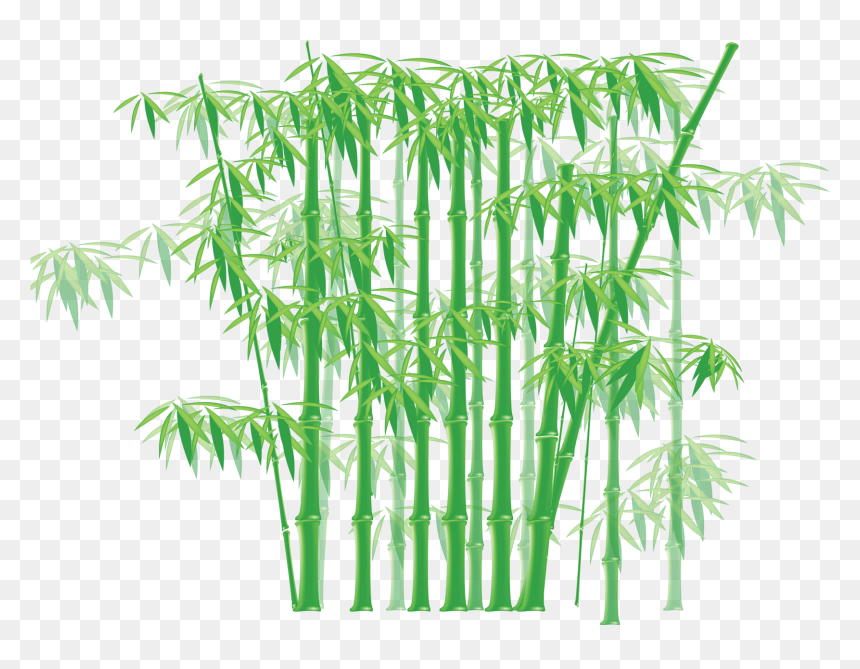 Glass Films In Bamboo Design, HD Png Download - tree border png