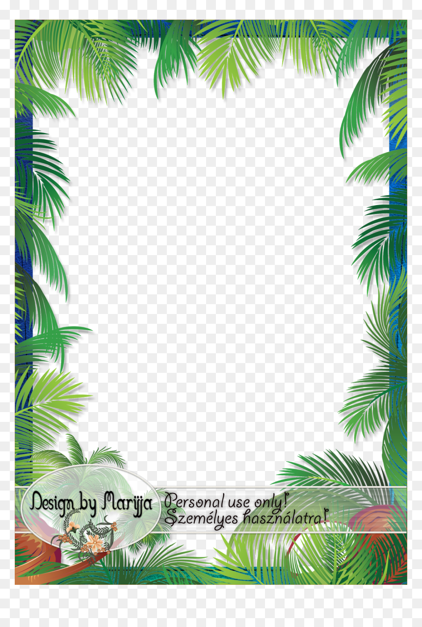 Palm Leaves Clipart Hd, HD Png Download - tree border png