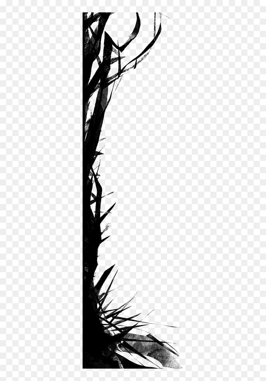 Monochrome, HD Png Download - tree border png