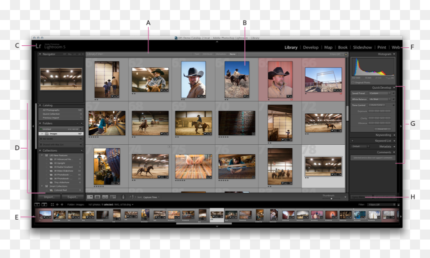 Screenshot, HD Png Download - lightroom logo png