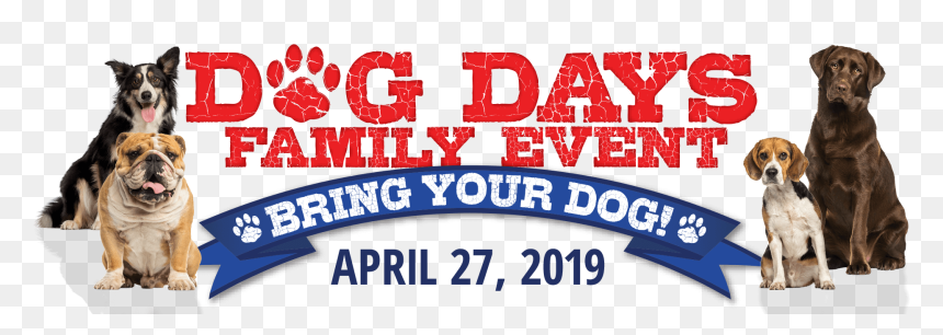 Cabela's Dog Days, HD Png Download - bass pro shop logo png