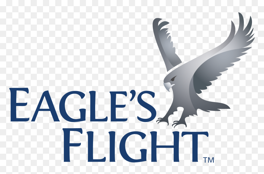 Eagles Flight Logo, HD Png Download - flight png images