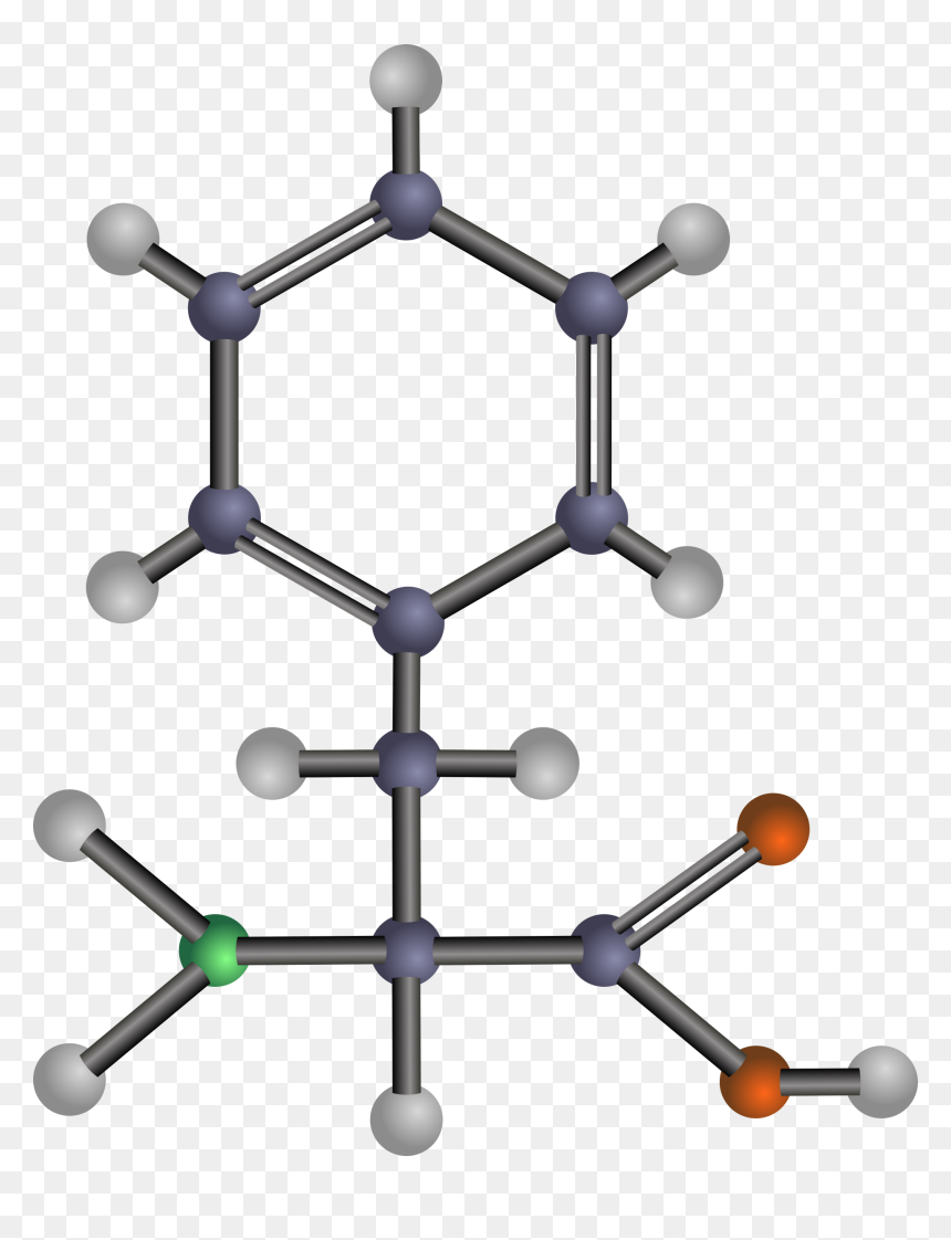 Phenylalanine Clip Arts - Methionine Clipart, HD Png Download - acid png