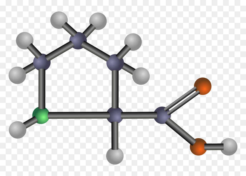 Proline Svg Clip Arts - Amino Acid Clipart, HD Png Download - acid png
