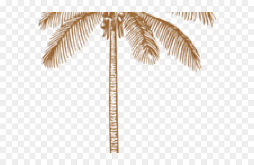 Clip Art, HD Png Download - wedding barat images png