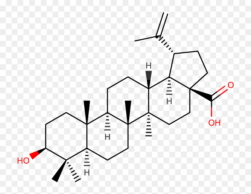 Betulinic Acid Cas 472 15 - Structure, HD Png Download - acid png