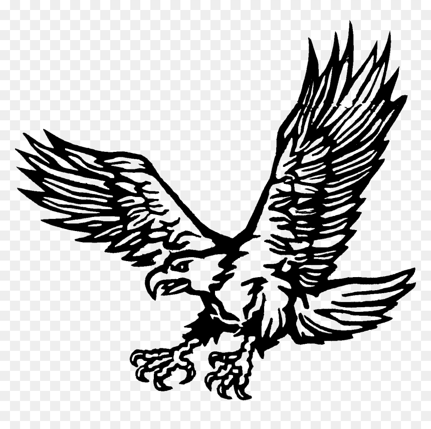 Dibujo Aguila Png - Dibujo De Aguila Png, Transparent Png - aguila png