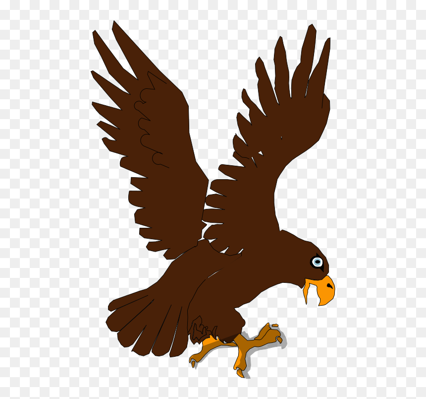 Aguila - Eagle Picture For Kids, HD Png Download - aguila png