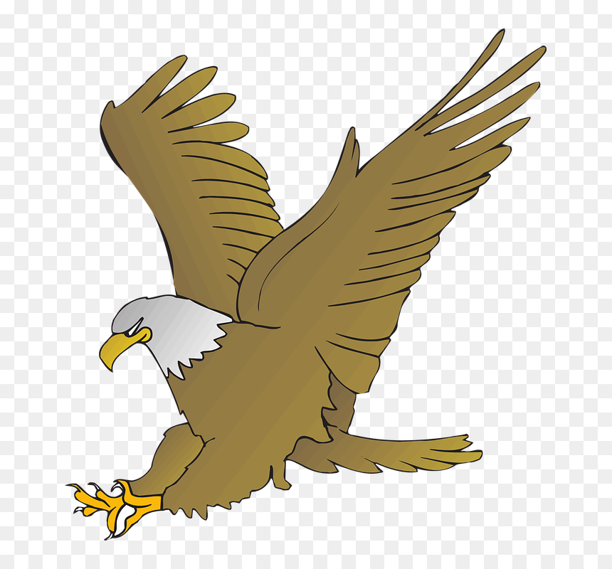 Thumb Image - Animated Picture Of Eagle, HD Png Download - aguila png