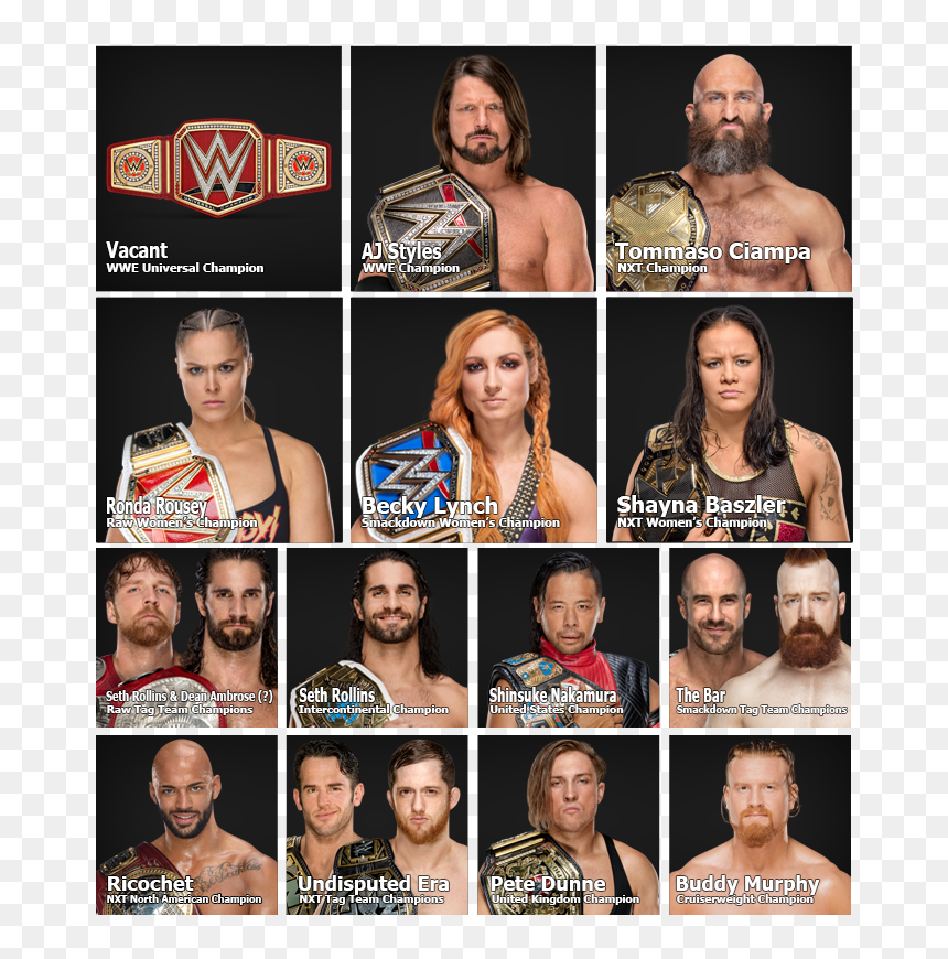Wwe Champion Wwe Adam Cole, HD Png Download - rko outta nowhere png