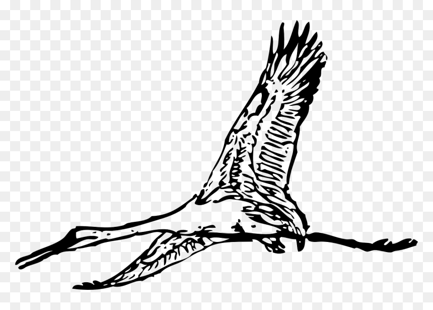 Giant Bird Clip Art, HD Png Download - giant png