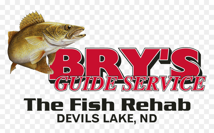 Computer Information Systems, HD Png Download - fishing bobber png