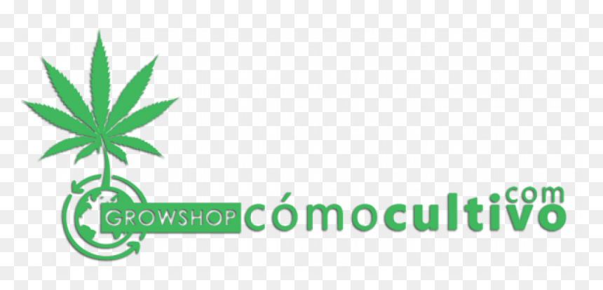Transparent Burbujas De Agua Png - Marijuana Leaf, Png Download - burbujas png