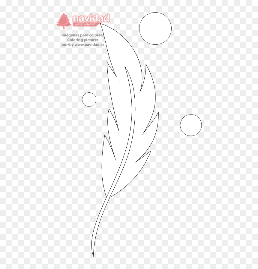 Pluma Y Burbujas - Illustration, HD Png Download - burbujas png