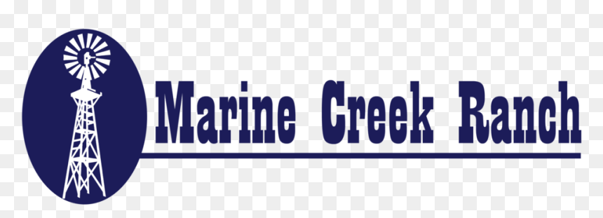 Marine Creek Ranch - Graphics, HD Png Download - paloma blanca png