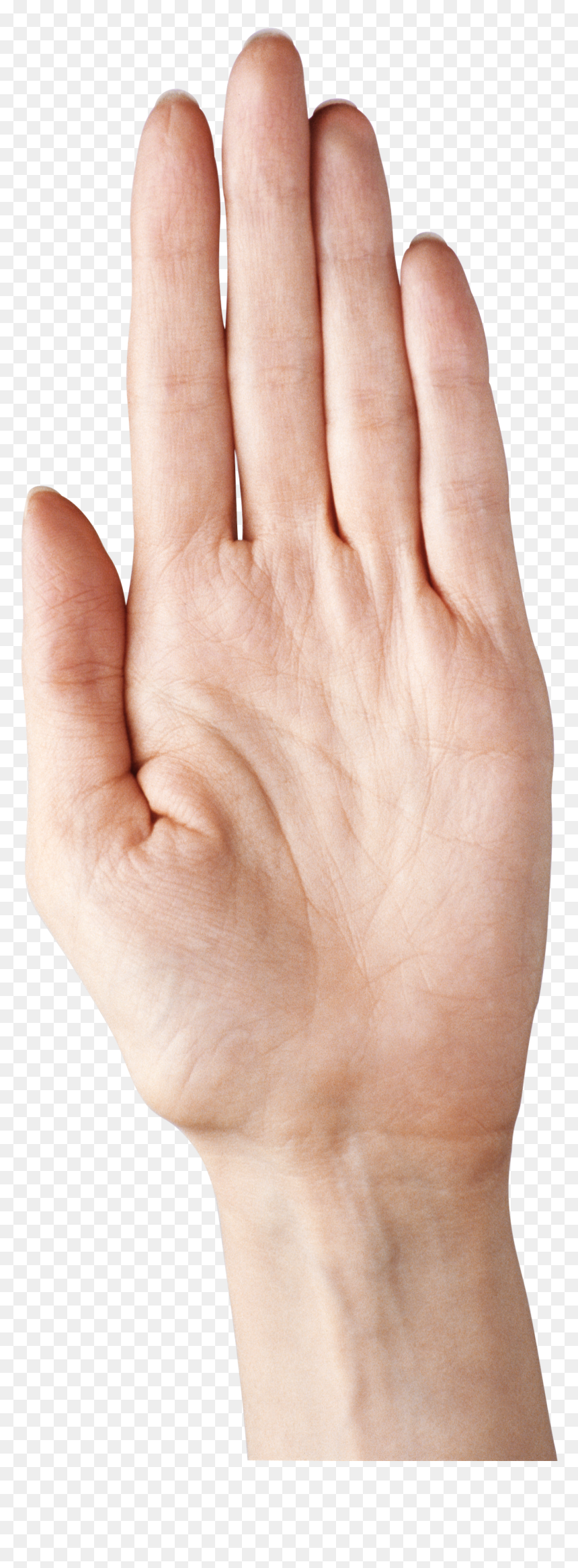 5 Finger Png - Hand With Fingers Together, Transparent Png - high five png