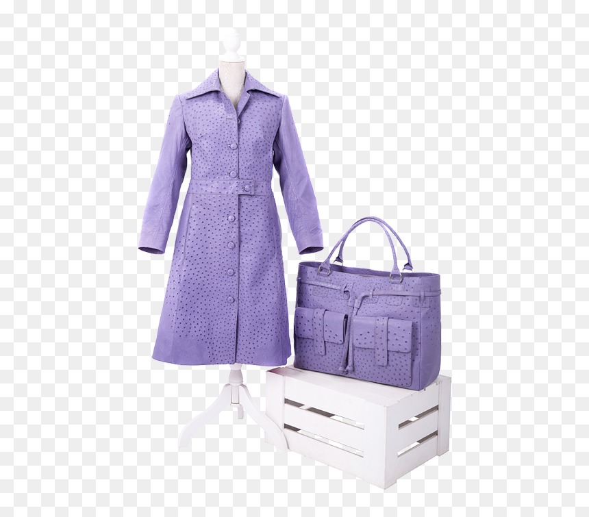Ostrich International, HD Png Download - ladies purse png