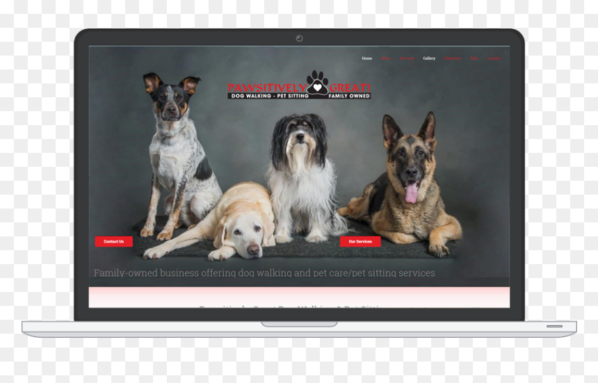 Clientpawsitively Great Dog Walking & Pet Sitting - Kromfohrländer, HD Png Download - family walking png