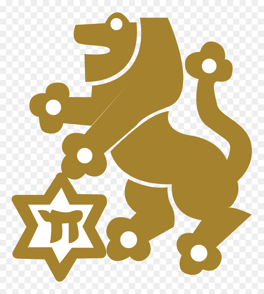 If You Have Any Questions, Please Contact Emily Rich - Lion Of Judah Jfna Invitation, HD Png Download - any questions png