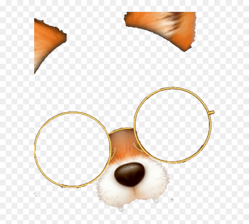 Transparent Snow Filter Png - Filtro De Zorro Con Lentes Png, Png Download - lentes png