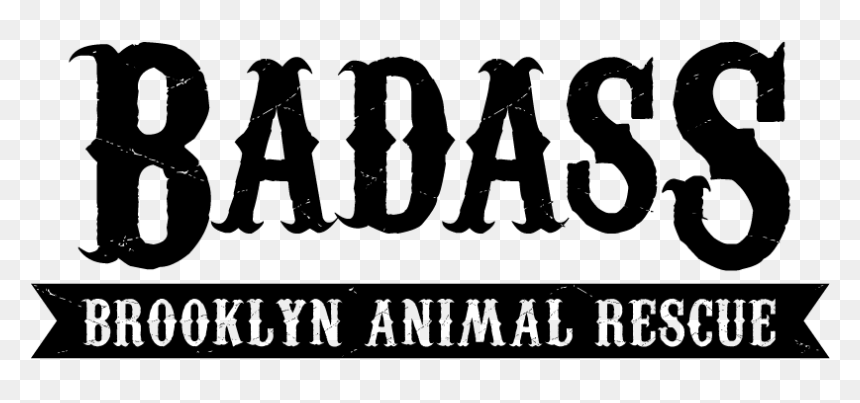 Thumb Image - Badass Brooklyn Logo, HD Png Download - badass png