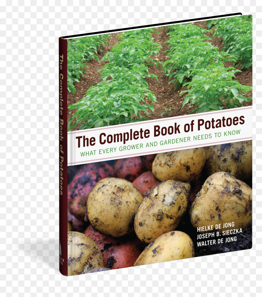 Potatoes Png , Png Download - The Complete Book Of Potatoes: What Every Grower And, Transparent Png - potatoes png