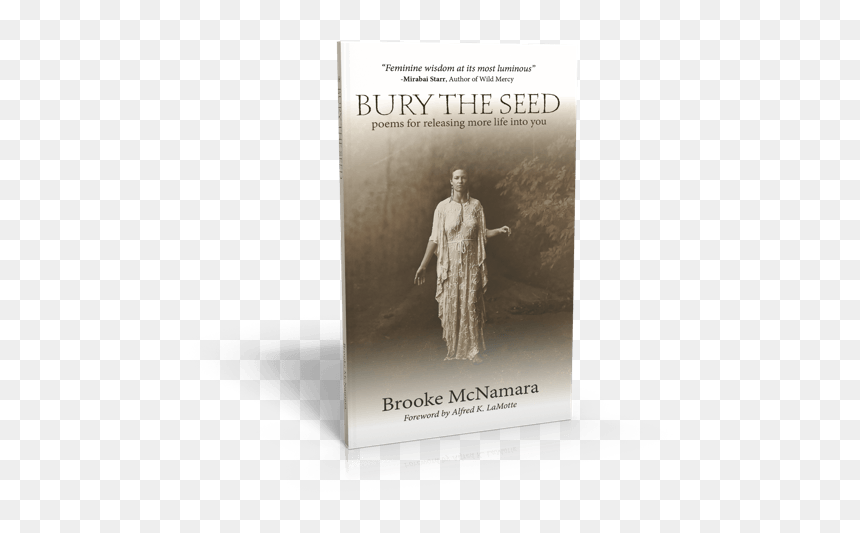 Bury The Seed - Standing, HD Png Download - katherine mcnamara png