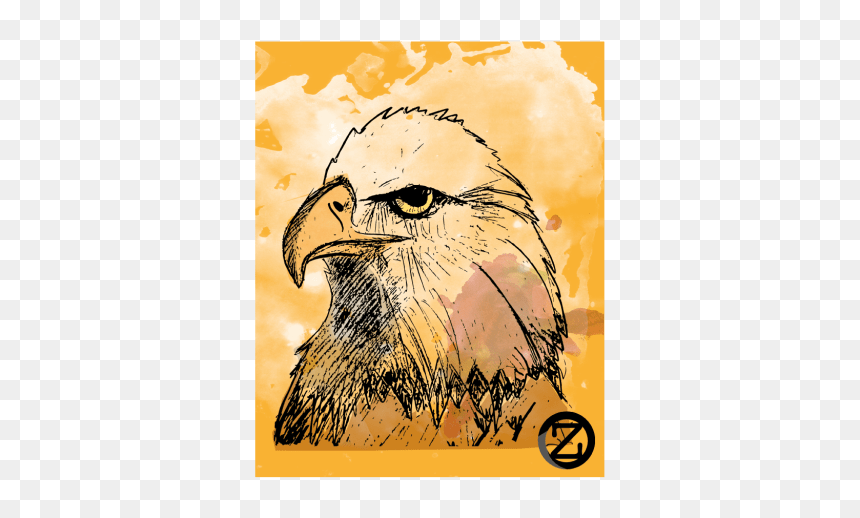 Águila - Hawk, HD Png Download - aguila png