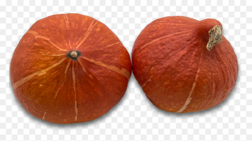 Acorn Squash, HD Png Download - harvest png