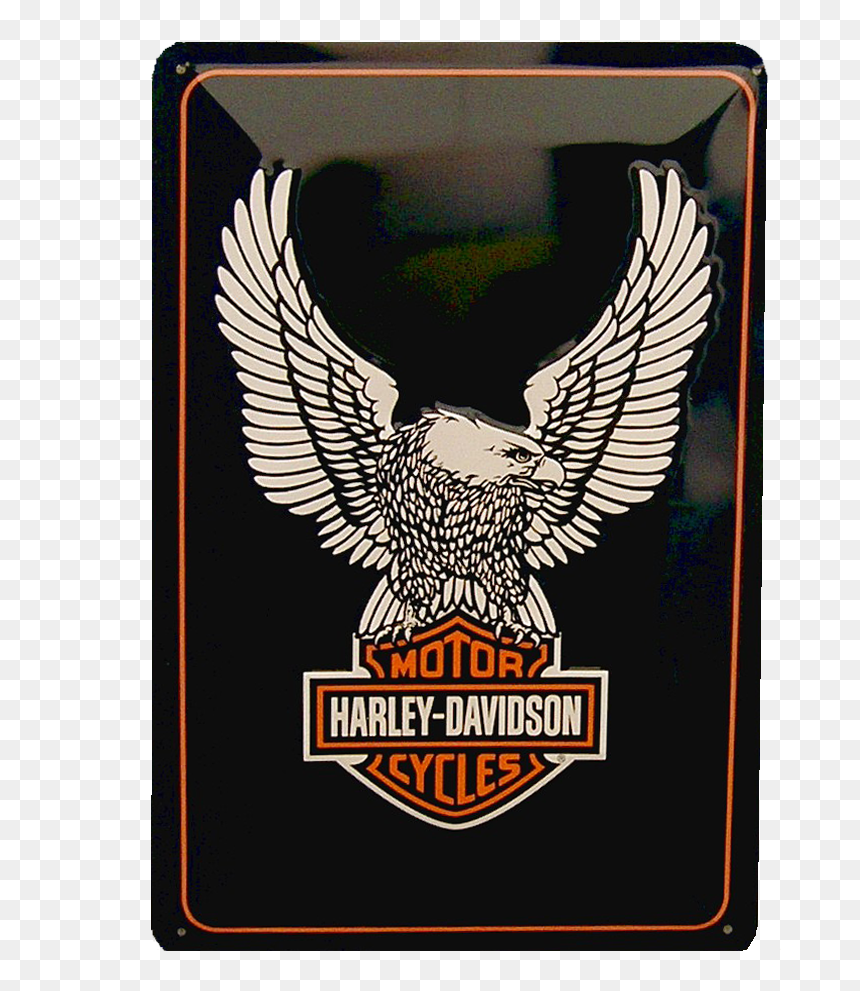 Harley Aguila"
 Title="publicidad Harley Aguila, HD Png Download - aguila png